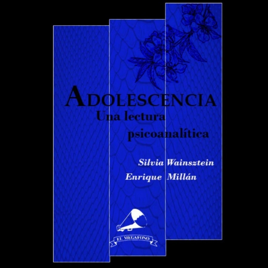 Adolescencia, una mirada psicoanalítica (E-book)